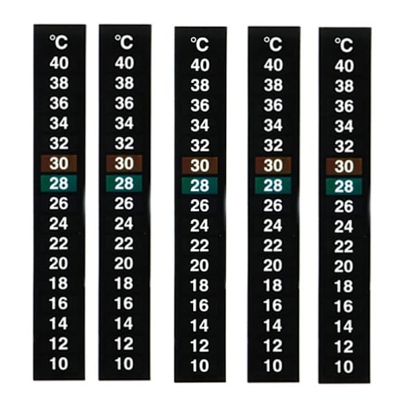 5-pakks tradisjonell digital klebende termometer med Celsius-system