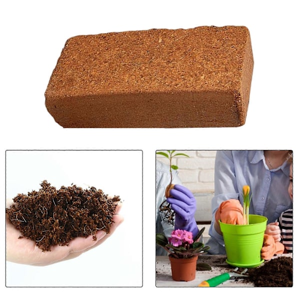 Kokos Kokosfibre jord, Kokos Kokosfibre Startblanding, havemursten til 5-7L