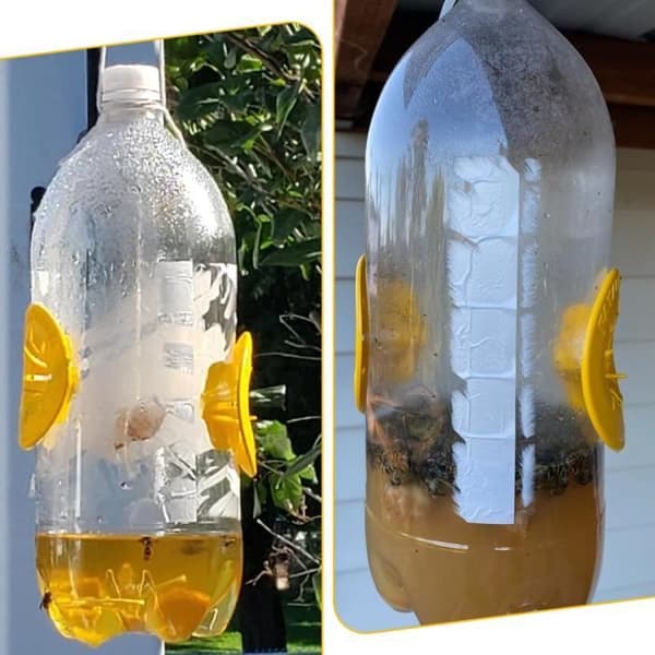 Fälla för asiatisk bålgeting, mikrogeting, getingfälla bifångare plast insektfälla getingfälla fångare, 6 stycken