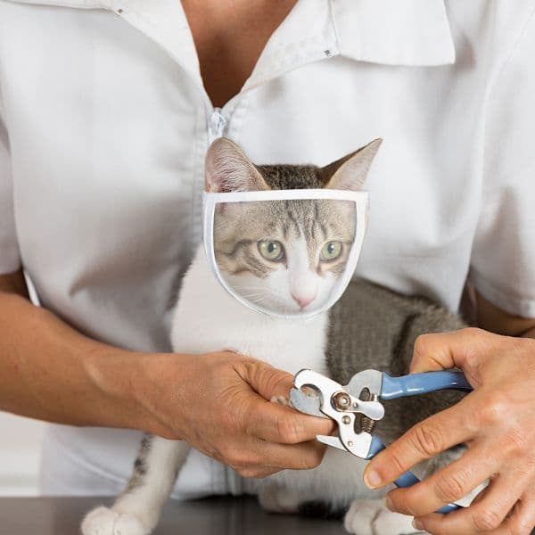 Kattmunkorg för pälsvård och behandling Vit M Vit M