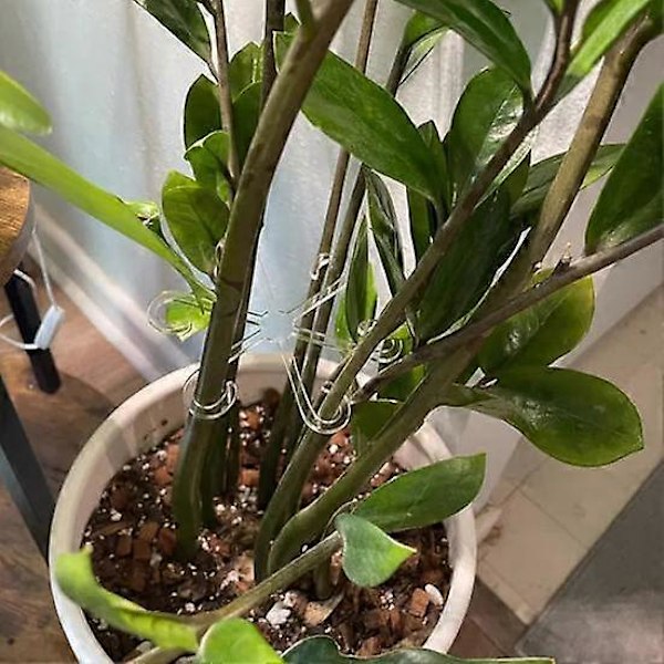 Plantstöd Krok Akryl Växtrankhållare Vattentät Växtstöd Krok Spaljé S