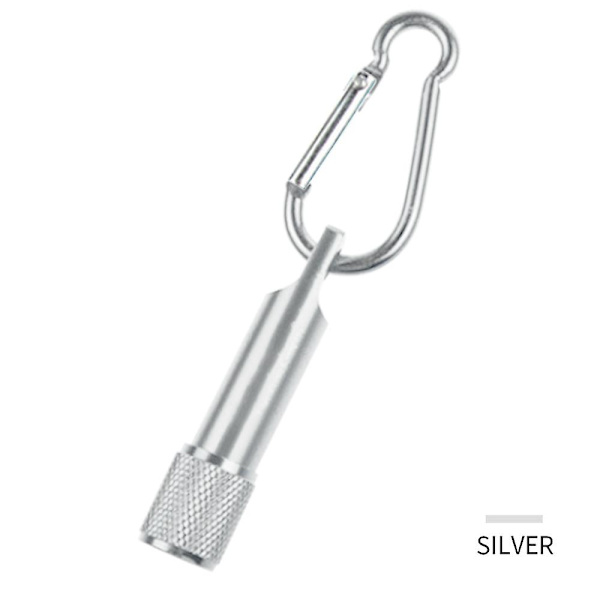 Mini-avaimenperä LED-taskulampulla, erittäin kompakti ja kirkas, hännän kytkimellä, kotiin, leirintään ja matkoille Silver