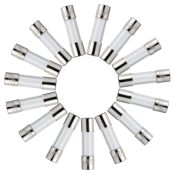 T3.15AL250V 5x20mm 3,15A 250V Langsom Blæsning Sikringer 3,15 Amp 250 Volt 0,2 x 0,78 Tommer Glasrør (Pakke med 20 stk)