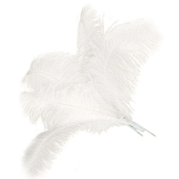 10 stk Naturlige Strudsefjer Bryllup Fest Dekoration Hvid 45-50cm