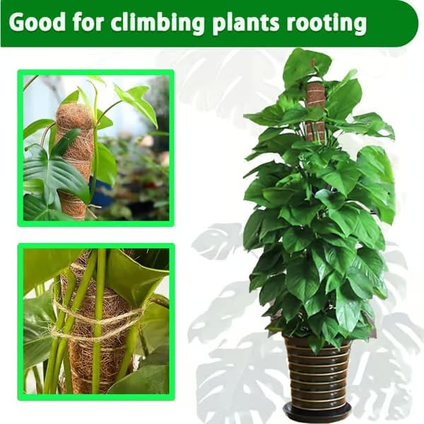 Moss-stång, 2-pack 43 cm Monstera växtstöd för klätterväxter tillbehör inomhus, stapelbara moss-stänger växtstödspinnar, kokosfiber växtstöd