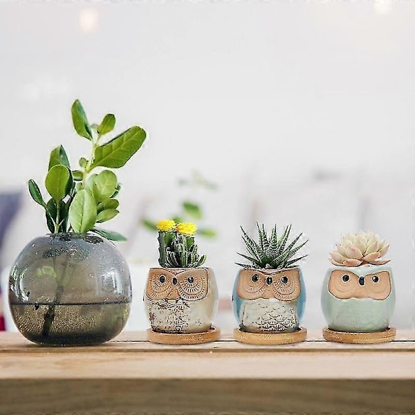 Succulent Potte 6 stk. Keramiske Ugle Blomsterpotter Kaktus Potte Succulent Dyrebeholder Med Drænhul Hjemmekontorer Skrivebord Have