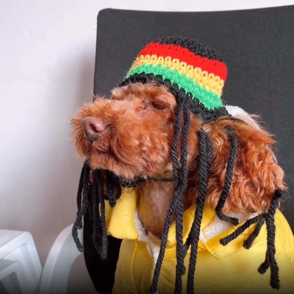 Halloween Pet Trendy Dreadlocks Ulllue Cosplay Søt Nyhet Dekor Morsomt