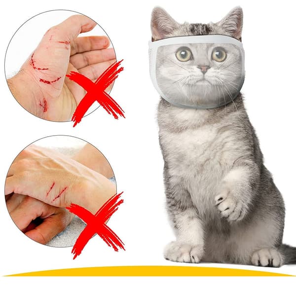Kattmunkorg för pälsvård och behandling Vit M Vit M White