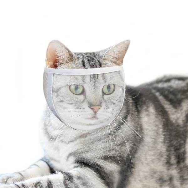 Kattmunkorg för pälsvård och behandling Vit M Vit M White