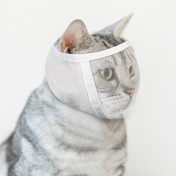 Kattmunkorg för pälsvård och behandling Vit M Vit M White