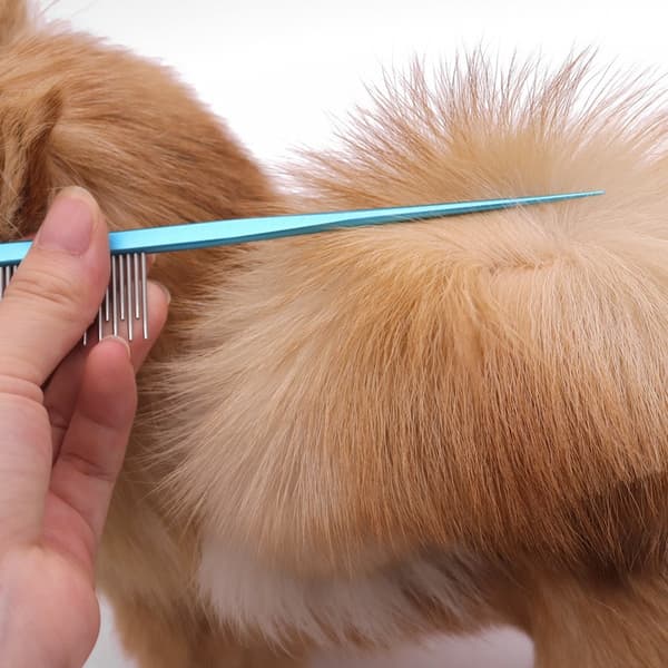 Kæledyrskam i rustfrit stål med spids hale til hunde og katte, blå 16 Blue