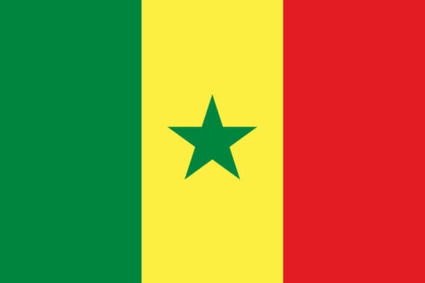 Senegalin lippu Senegal Senegal