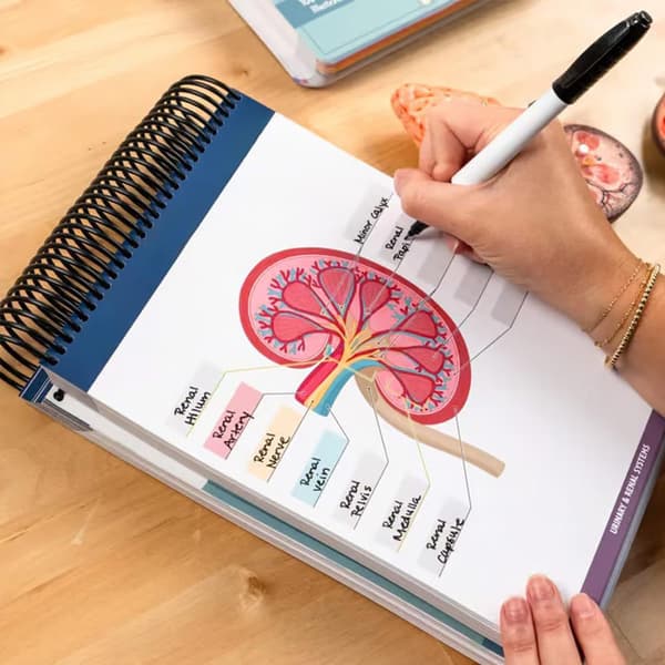 Arbetsbok för anatomimärkning: 100+ sidor fullfärg anatomistudieguide med märkta diagram och fallstudier - Anatomistudieguide