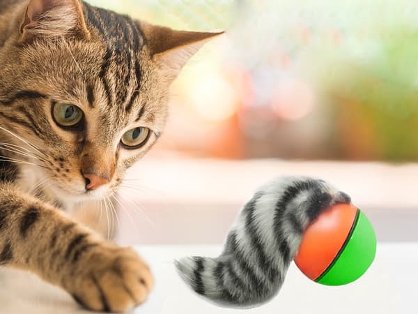 Elektrisk Kattelegetøj / Legetøj til Kat - Rullende Bold med Ilder