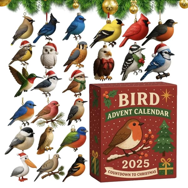 24 dager julefugl adventskalender nedtelling samleobjekter festdekorasjon 2D set as shown