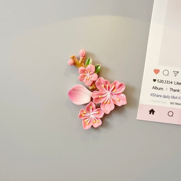 Kylskåpsmagnetset med persikoblommor, 3D magnetisk blomdekor för kylskåp och dörr Pink + Fuchsia 4pcs