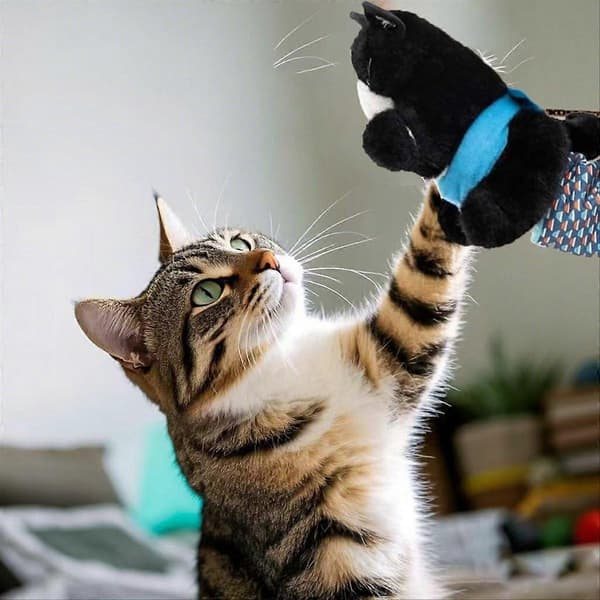 Kattdocka Brottare, Interaktiv Handdocka, Kattleksak_Speciell Gåva