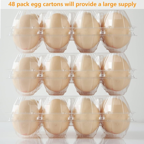 Eggkartong i plast, 100-pack tomme gjennomsiktige eggkartonger i plast rommer opptil 12 egg, gjenbrukbare holdere for kyllingegg