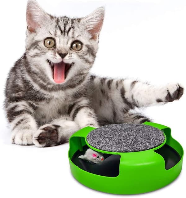 Pasking Interaktiv Katt Leke, Katt Refleks Leke, Grønn