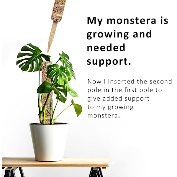2-pak Plantepinde, Kokosmos Pinde til Planter, Plantepinde, Spalierpinde, Monster Klatrehjælpemidler, Kokospinde til Klatreplanter (40