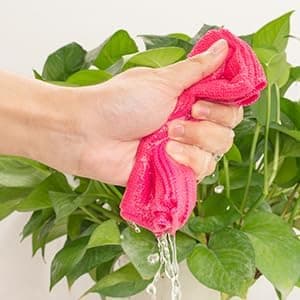 Mikrofiberduk, 12-pack, Storlek: 30 x 30 cm