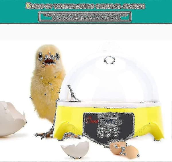 Automatisk 7-eggs inkubator med digital kontroll og automatisk vendemekanisme