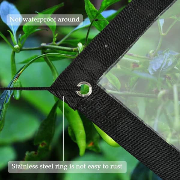 BeGrit 2M x 3M Läpinäkyvä Pressu Silmukoilla Säältä Suojattu -WELLNESS