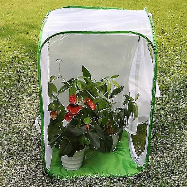 Stort foldbart sommerfuglebur terrarium, insekt- og sommerfuglenet til avl [D]{F3}