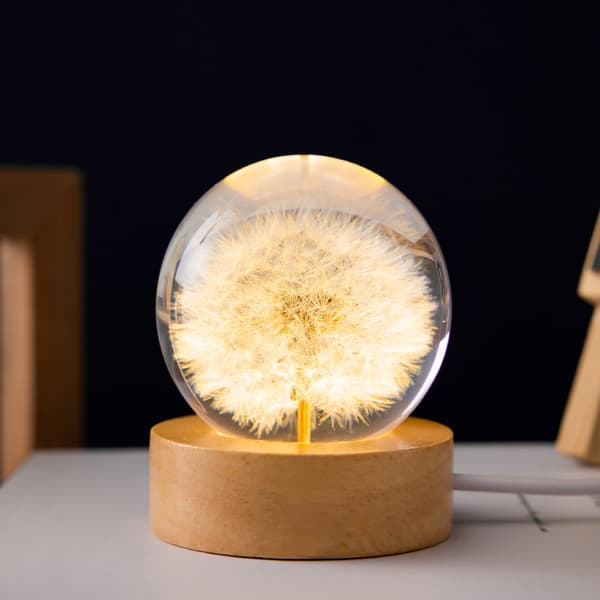 Ægte Præserveret Blomst Glas Kugle Natlampe | Dæmpbar Batteri LED (Mælkebøtte)