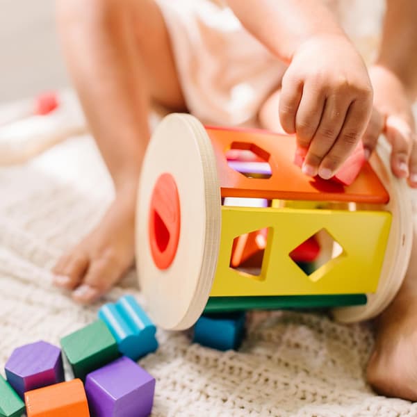 Melissa & Doug Match and Roll FormSorter - Klassisk Treleketøy