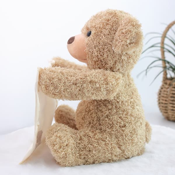 Gjemsel  Stuffed Animal Boo Bear Plush Talk