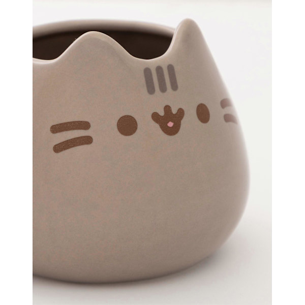 Pusheen Dam Mugg och Strumpa Present Set Brun 3D Ansikte - One Size