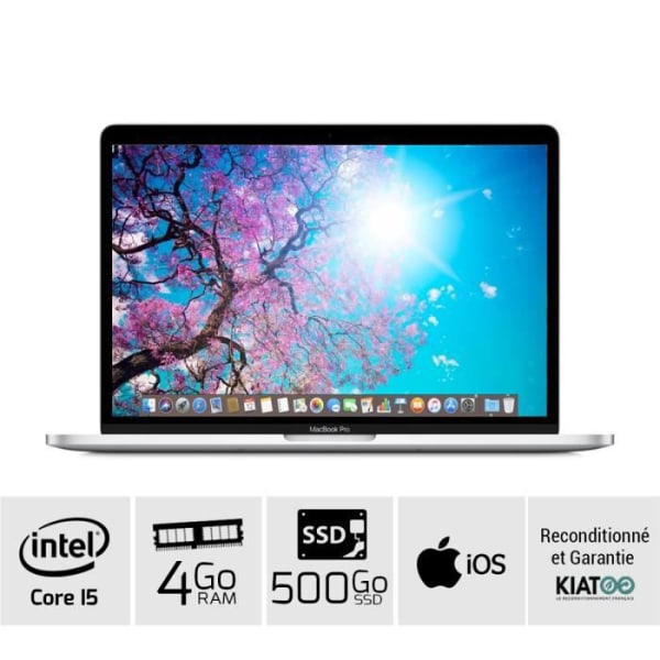 MACBOOK PRO 13 tum Grå core i5 4 go ram 500 go SSD hårddisk tangentbord AZERTY - Refurbished Grade B - Swedish keyboard
