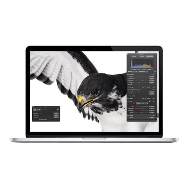 Apple MacBook Pro med Retina-skærm - Core i5 2... - Refurbished Grade A+