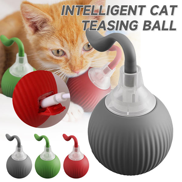 Automatisk Smart Retas Hundboll, Interaktiv Hund Katt Studsande Rullande Boll Leksak Red