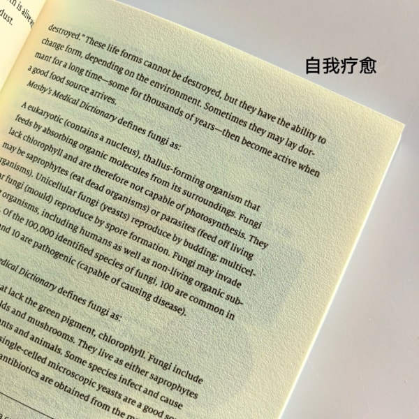 Selvhelbredelse ved Design - Mikroorganismers Rolle for Sundhed af Barbara O'Neill, Paperback