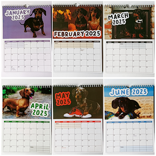 Cheeky Dachshund-kalender 2025 - 12 månaders planerare, väggkalender för hemmet, present