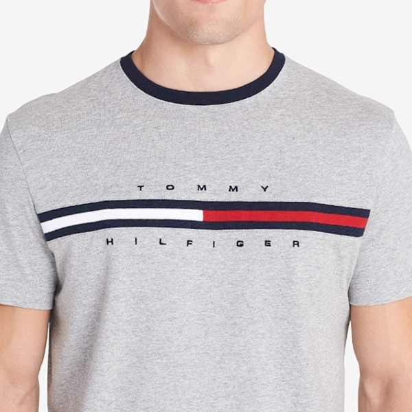 TOMMYHILFIGER Herr T-shirt med Kort Ärm och Signaturrandig Grafik (Grå) Grey 2XL