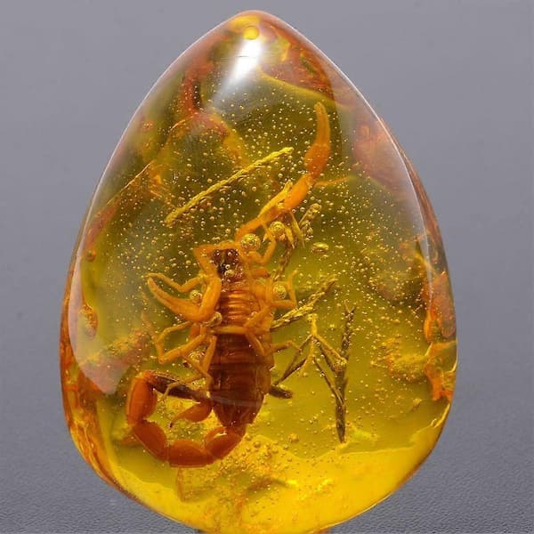 Vacker bärnstensskorpion fossil insekter manuell polering