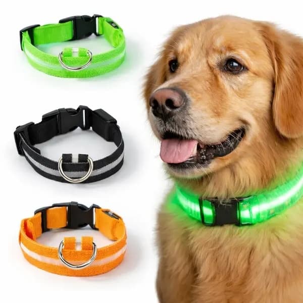 Genopladeligt LED-hundehalsbånd med refleksstribe – M, Orange orange M