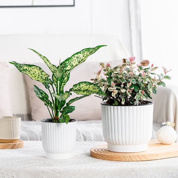 Självabsorberande blomkruka i plast. Långtidsvattenförvaring blomkruka.