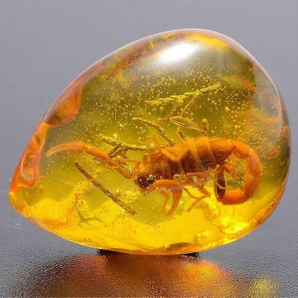 Vacker bärnstensskorpion fossil insekter manuell polering