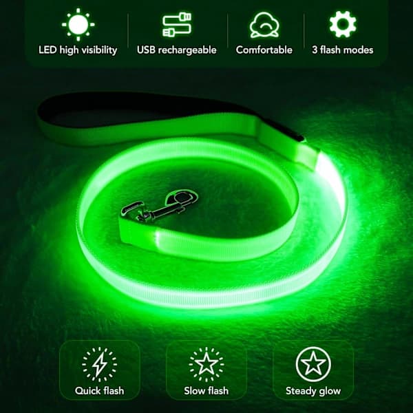 LED hundebånd Lysende 1,2 meter USB oppladbart nylonstoff Lysende sikkerhetsstandard Grønn)