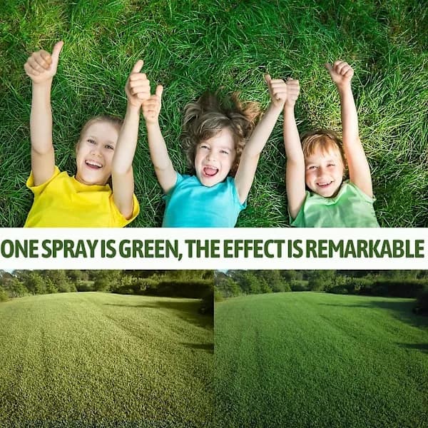 2 stk. græsfarvespray grøn græsfarve plænefarve plænefarve græsfarver
