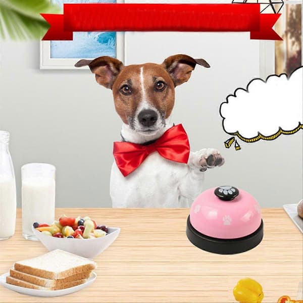 B-Pet Call Bell Toy för hund interaktivt husdjursträningsklocka leksak utfodring