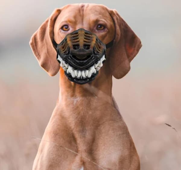Hundmunskydd i Vadderad Latex och Gummi S