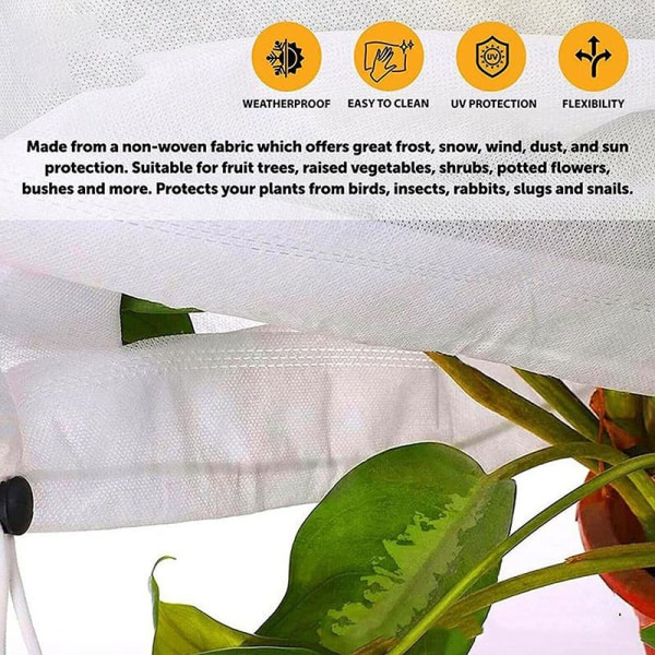 Frostskyddspåsar för växter, återanvändbart cover med dragsko Squre 80*100CM