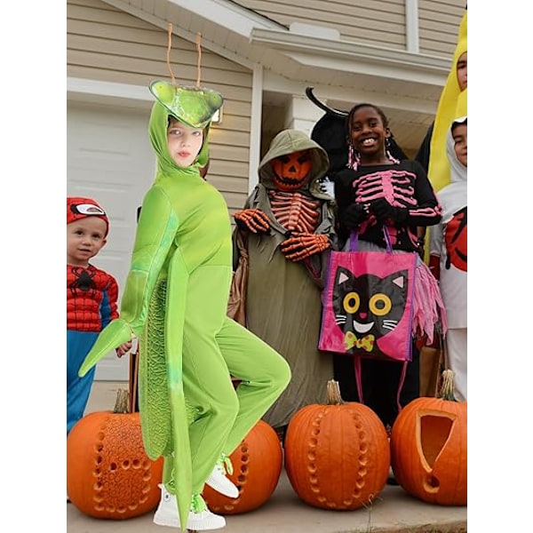 Bönmantisdräkt för Barnfest Halloween Insekt Kostym M