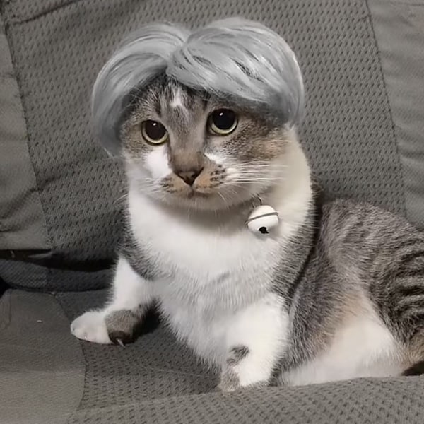 Peruk för husdjur Cosplay Rekvisita Roliga Hundar Katter Kors Light Grey