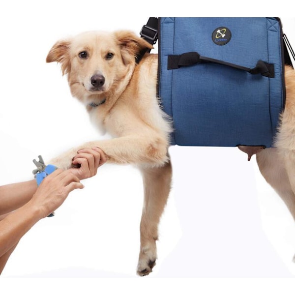 Løfte Sele til Hunde til Bagben, Bærbar Hundeslynge til Store Hunde til Støtte af Bagben blue L（60*30CM）